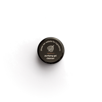 Purifying Gel Cleanser Sample